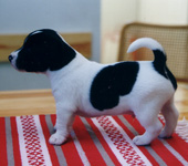 &copy; Kirsti Kauppi